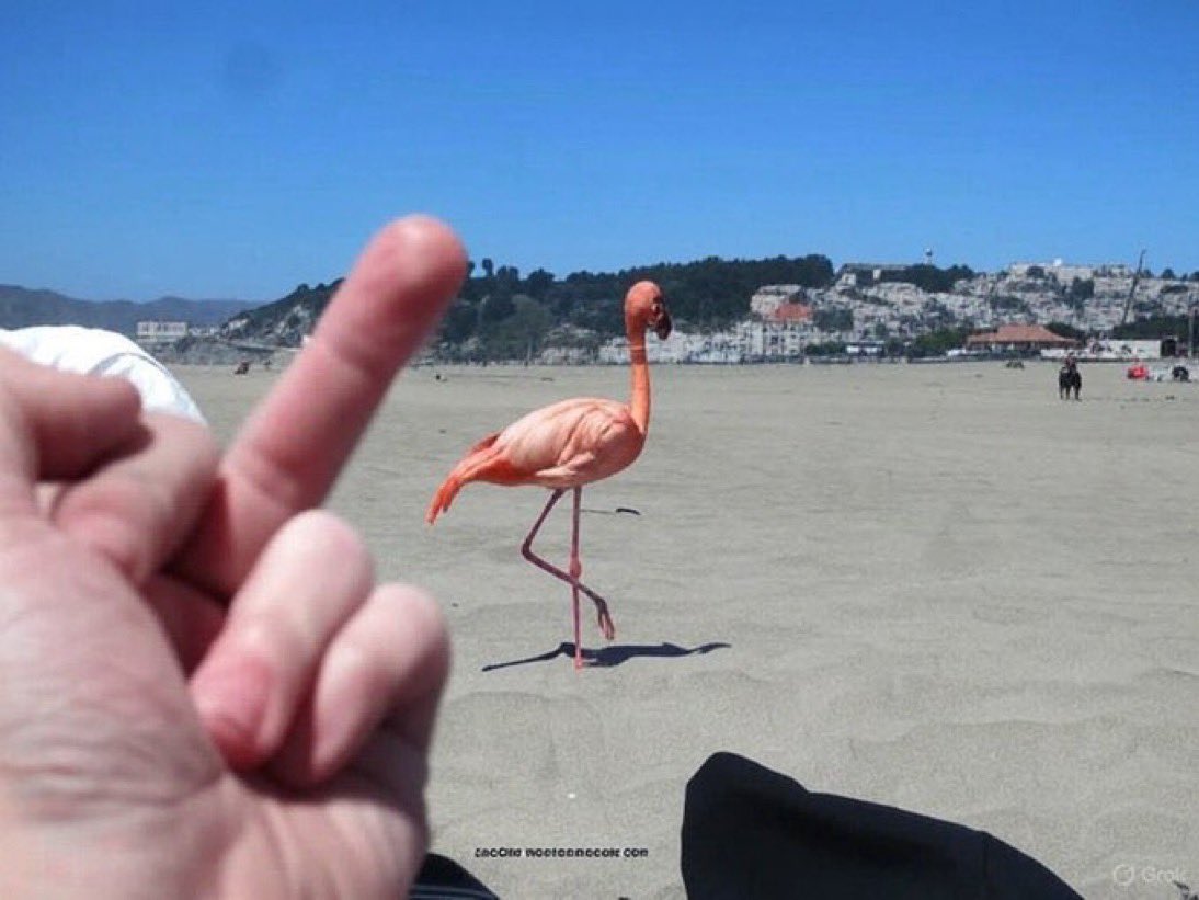 Savage.11 tweet media