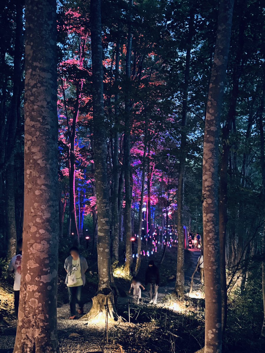 momoiro_usahi's tweet photo. めざましテレビに朝日町の空気神社のライトアップが登場！
8月までやってるからぜひ遊びにきてね。
※鳥居はイベント限定 https://t.co/HrO8KpVSfr