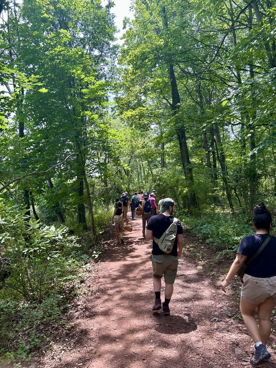 Essau1969's tweet image. #SundayFunday #Foray #Hike #Mushrooms LFG!!!!!!!!🥾🍄