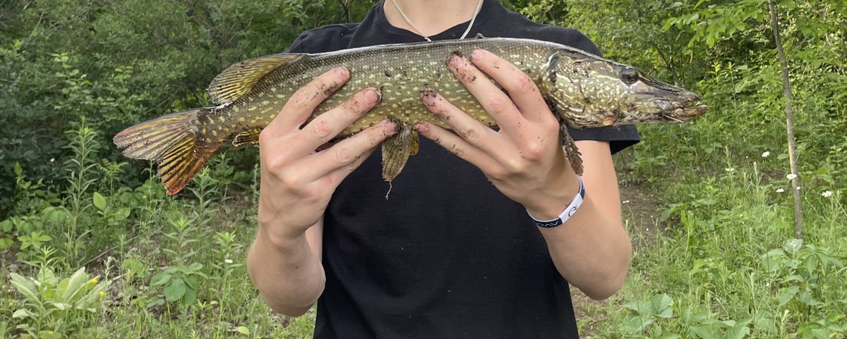 gmneyy's tweet photo. recent catches🐟 https://t.co/q9oH23isf8