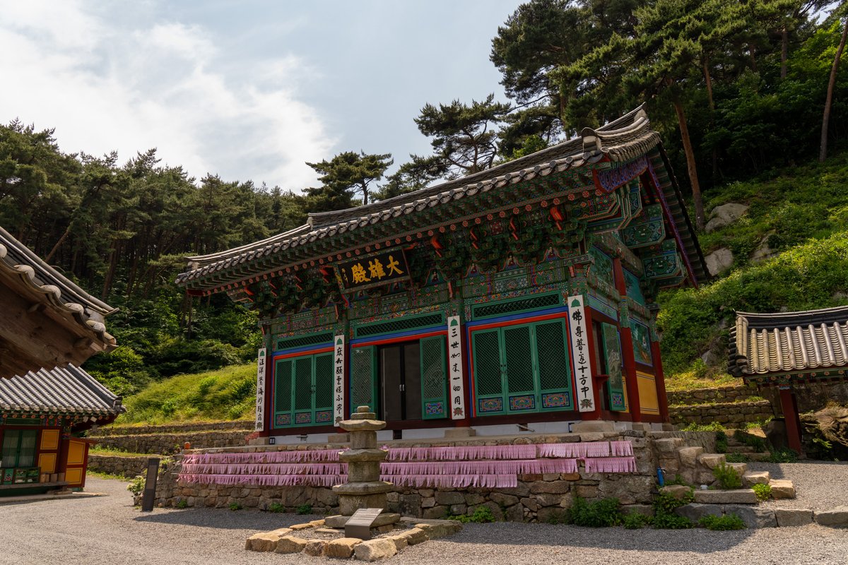 TreeStoryMan's tweet photo. #1/3
900년 전, 한 스님이 땅에 꽂은 마른 지팡이가 거대한 은행나무로 자라났습니다. 그리고 그 나무가 하나의 절을 키워냈죠. 월요일 아침, 태안 흥주사의 신비로운 창건 설화 이야기를 담은 1,296번째의 #나무편지 입니다. https://t.co/vpuBTtKjwZ