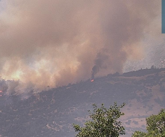 KernFiregraph's tweet image. #MaxFire clearly a good amount of spotting going on here as shown below