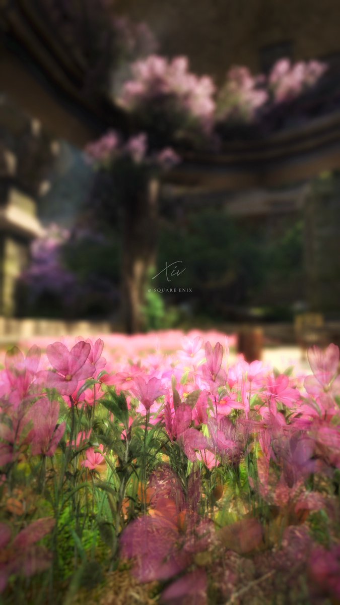 #FF14風景