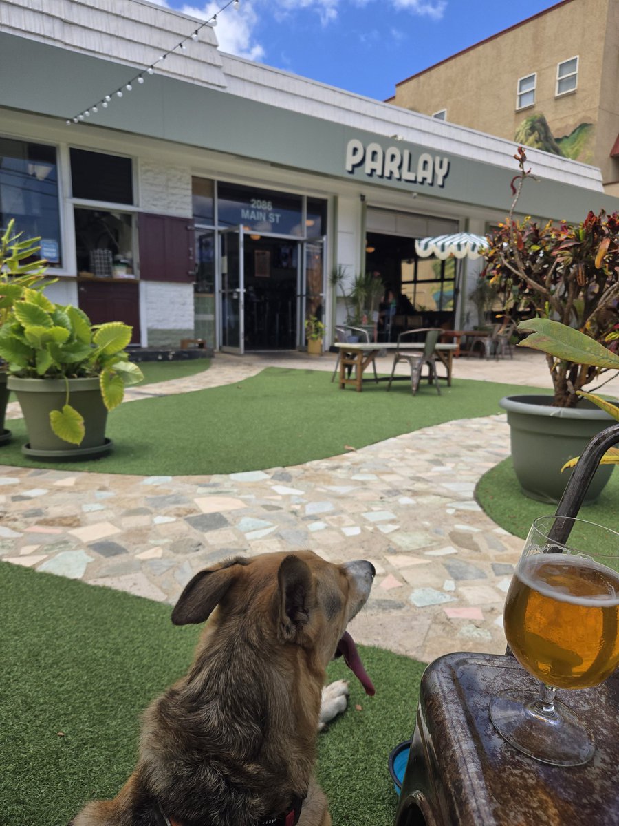 This is one of my favorite places in Maui.  Need to have the burger, I hear it's great, but they have my hometown beer, Tank 7!  #Parlay