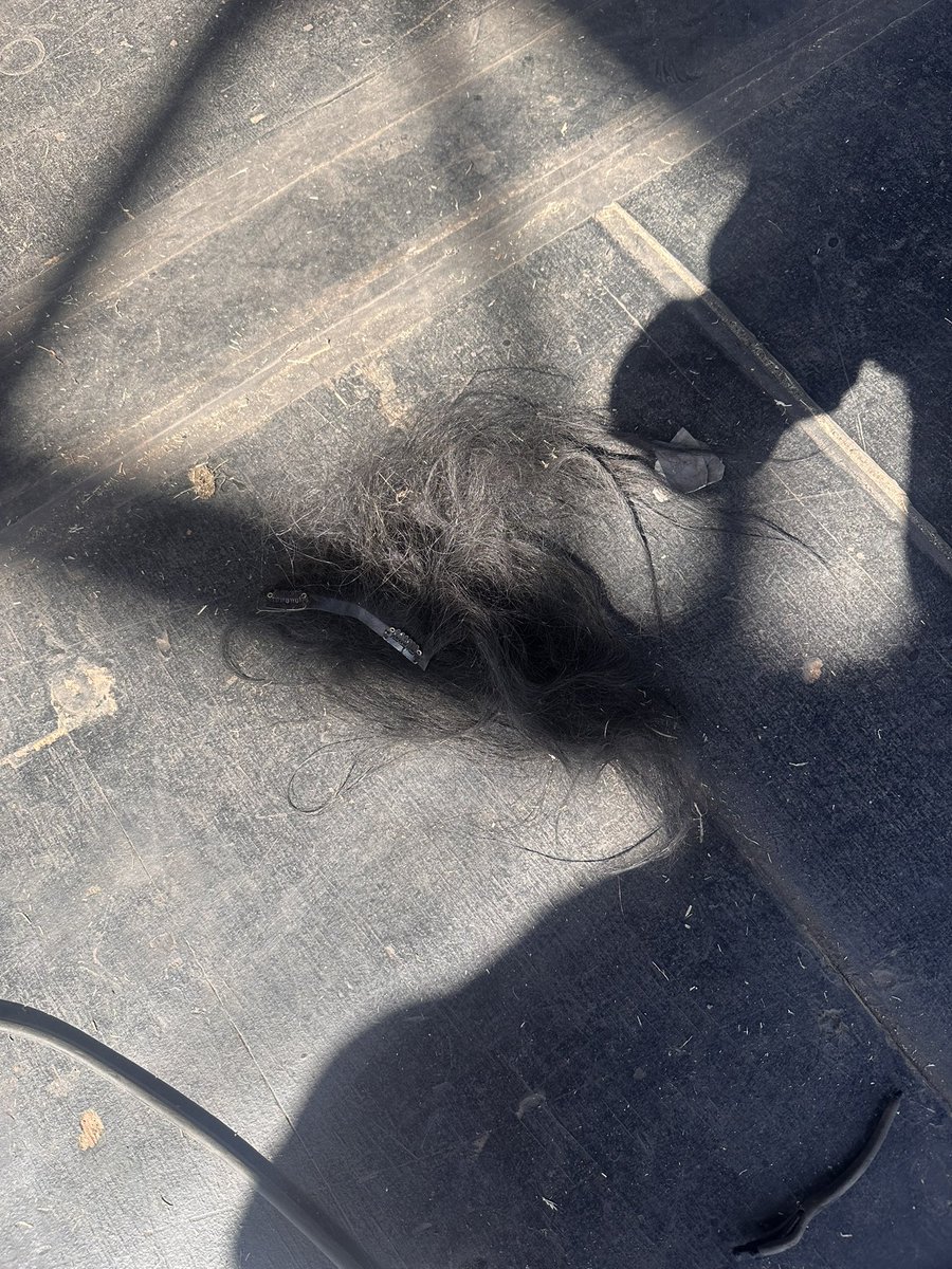 OneNineSevenMDA's tweet image. Balmora set went so crazy, someone lost their hair extensions