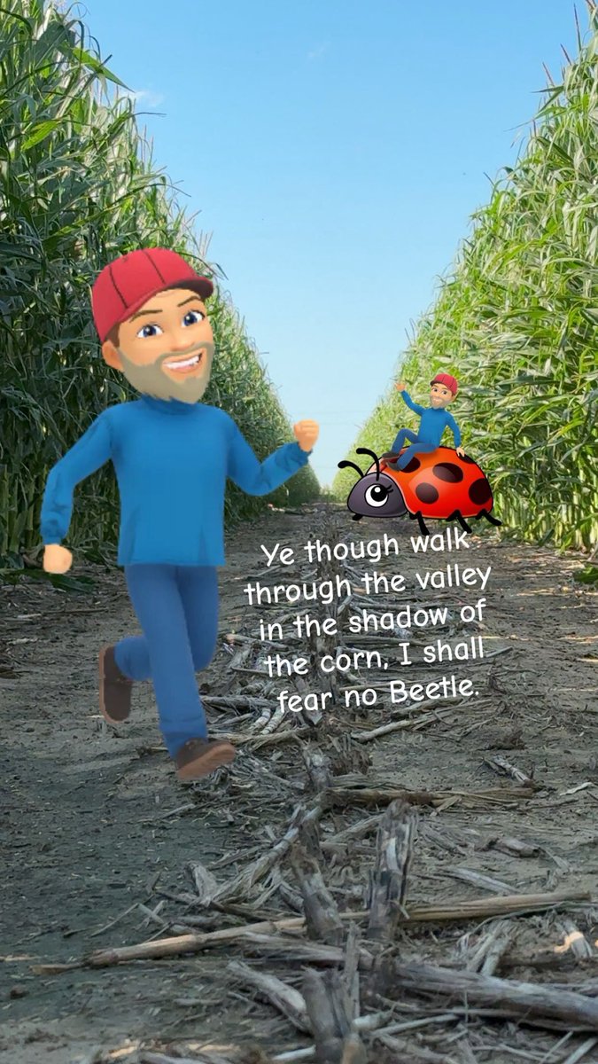 😜🤣🤘😎