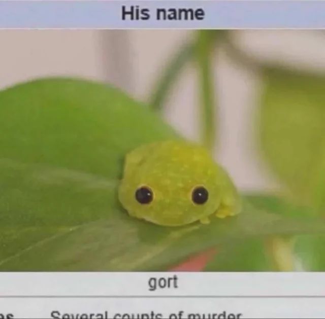 🕐HOURLY🕑 shitpost (@hourly_shitpost) on Twitter photo 