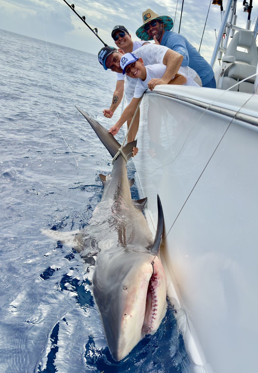 Patrick Bet-David tweet media