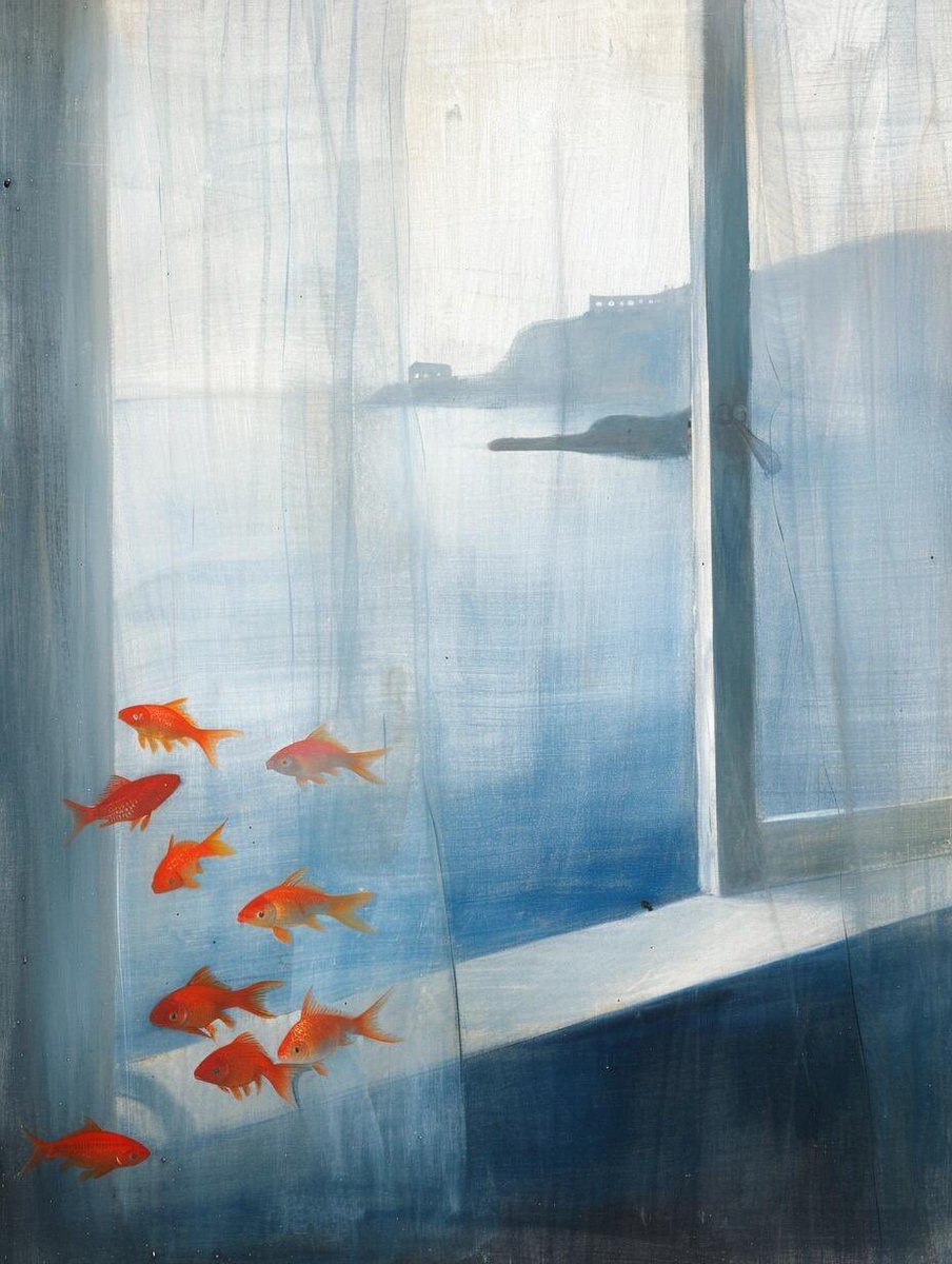 controdicting's tweet image. 