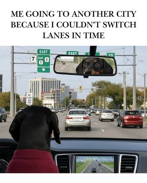 Has anyone done this?