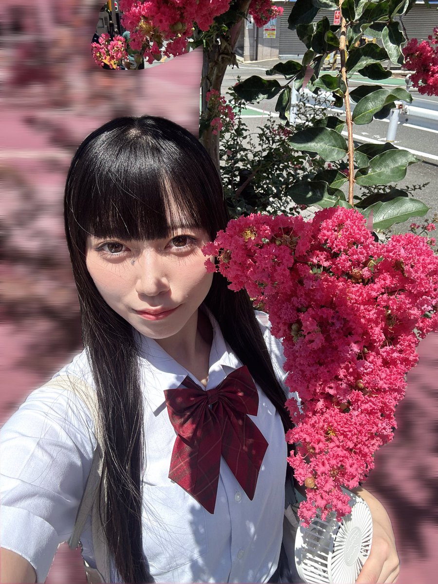 おはようー！
昨日、見つけたピンクの木‼︎
これなんていう木なのかな⁇
#２０歳　#役者　#ピンクの木　#制服  
#宣材写真 撮りに行ったよ👍🏻
