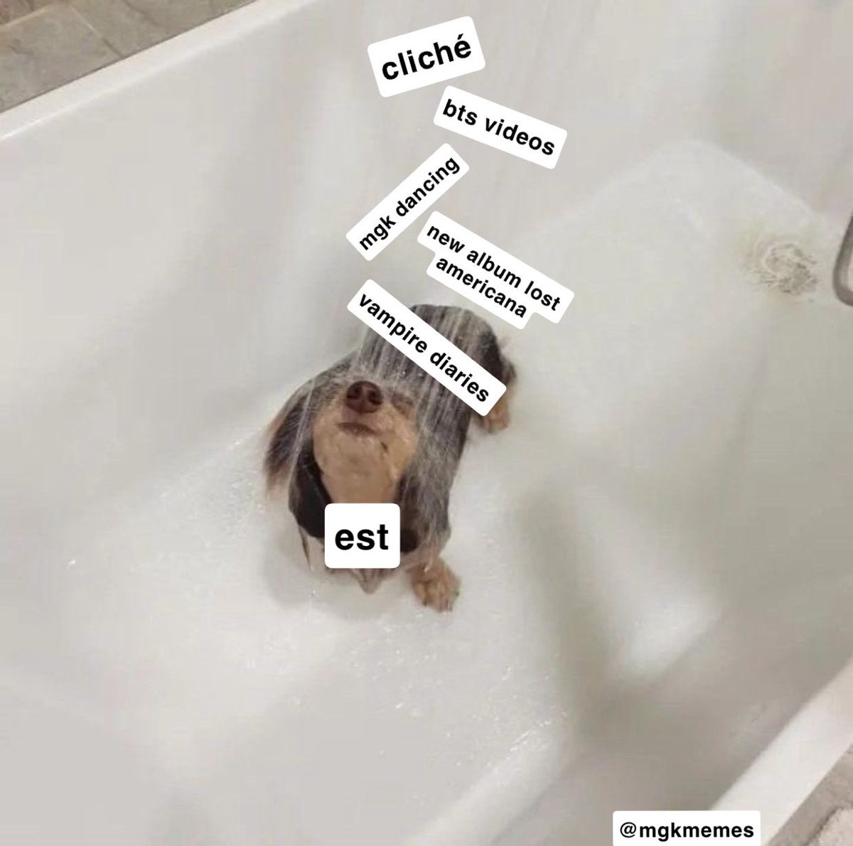 rekab showering us with so much love