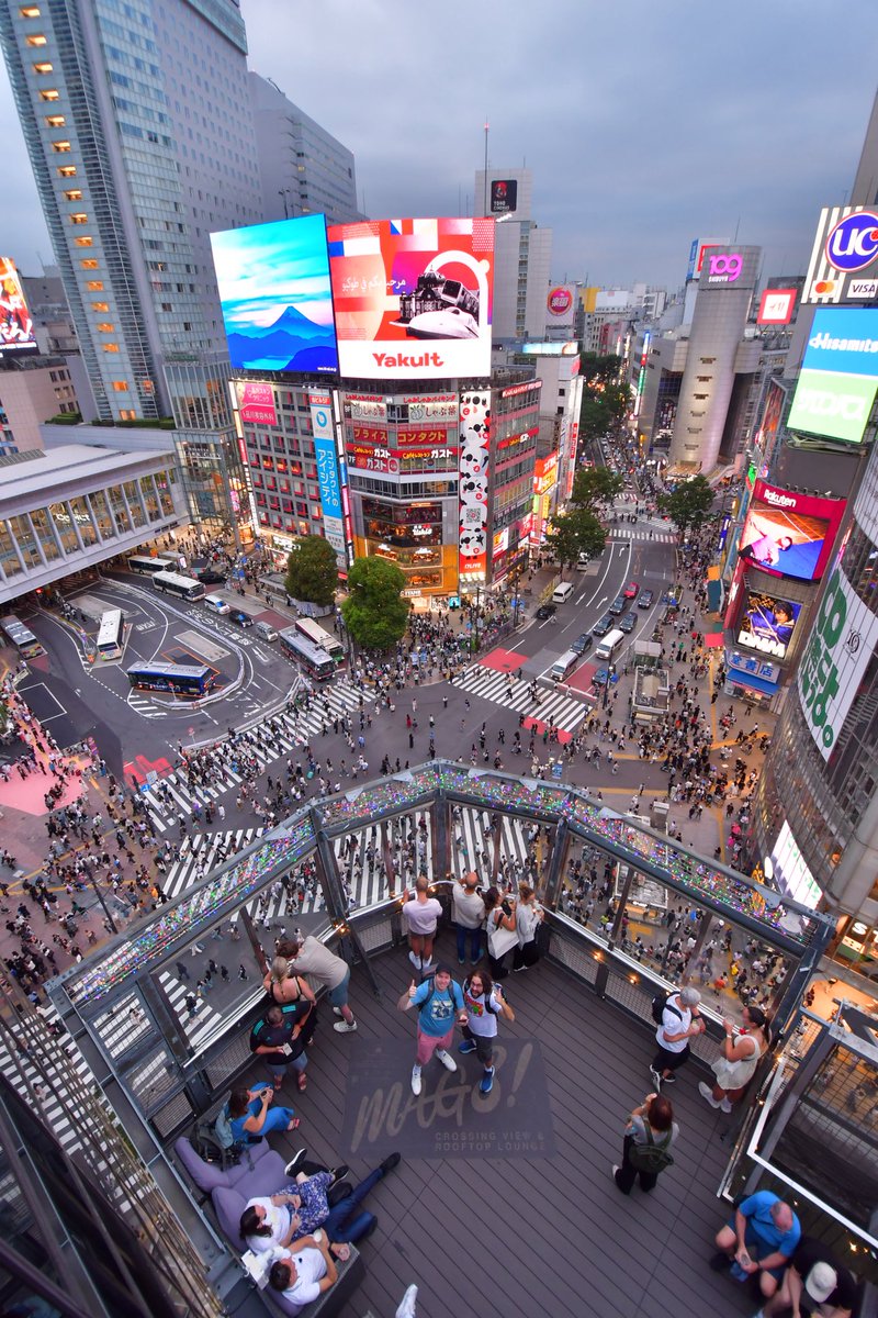 CubanMissileDH's tweet image. Greetings from Shibuya! One reason I became a screenwriter is it seemed like a profession in which you might suddenly be sent off on an adventure, Bilbo Baggins-style. Tokyo is perhaps my favorite city in the world, and I am so grateful life found a way to bring me back here.