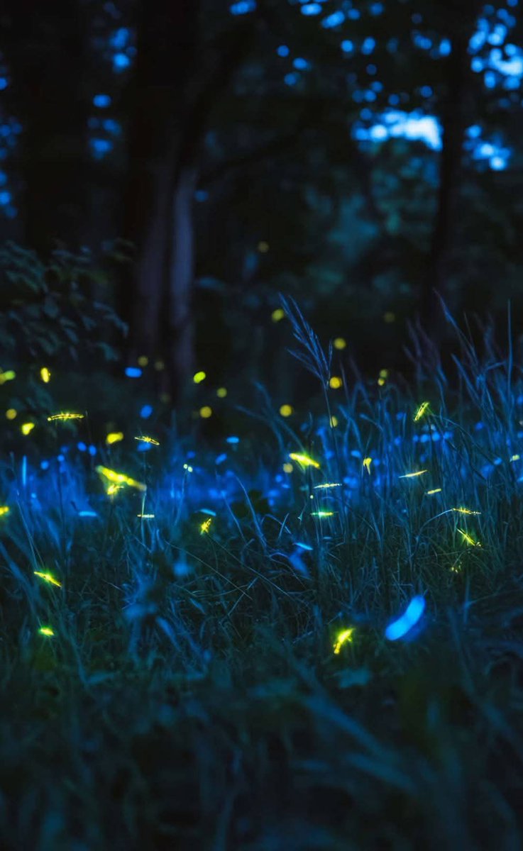 عمر میں بڑا ہونے سے ،کچھ نہیں ہوتا آپ بڑے تب ہوتے ہیں، جب آپ دوسروں کو ،برداشت کرنا اور سہنا سیکھ جاتے ہیں،🥀🖤✨