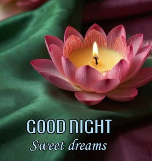 Have a nice #evening everyone. #Night #Relax