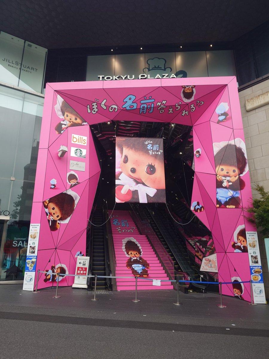 モンチッチ！
かと思ったけど違いますね…