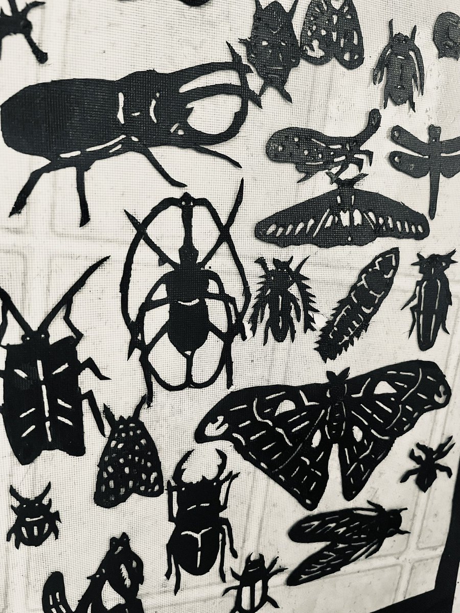 sonokonos's tweet photo. 今回の博物ふぇす用の新作、ボルネオの昆虫の型紙です。型紙彫るの好き💘#博物ふぇす  #博ふぇす　#昆虫　#博ふぇす11  #博物ふぇすてぃばる虫部  #博物ふぇすてぃばる https://t.co/eUe4BCjFKR