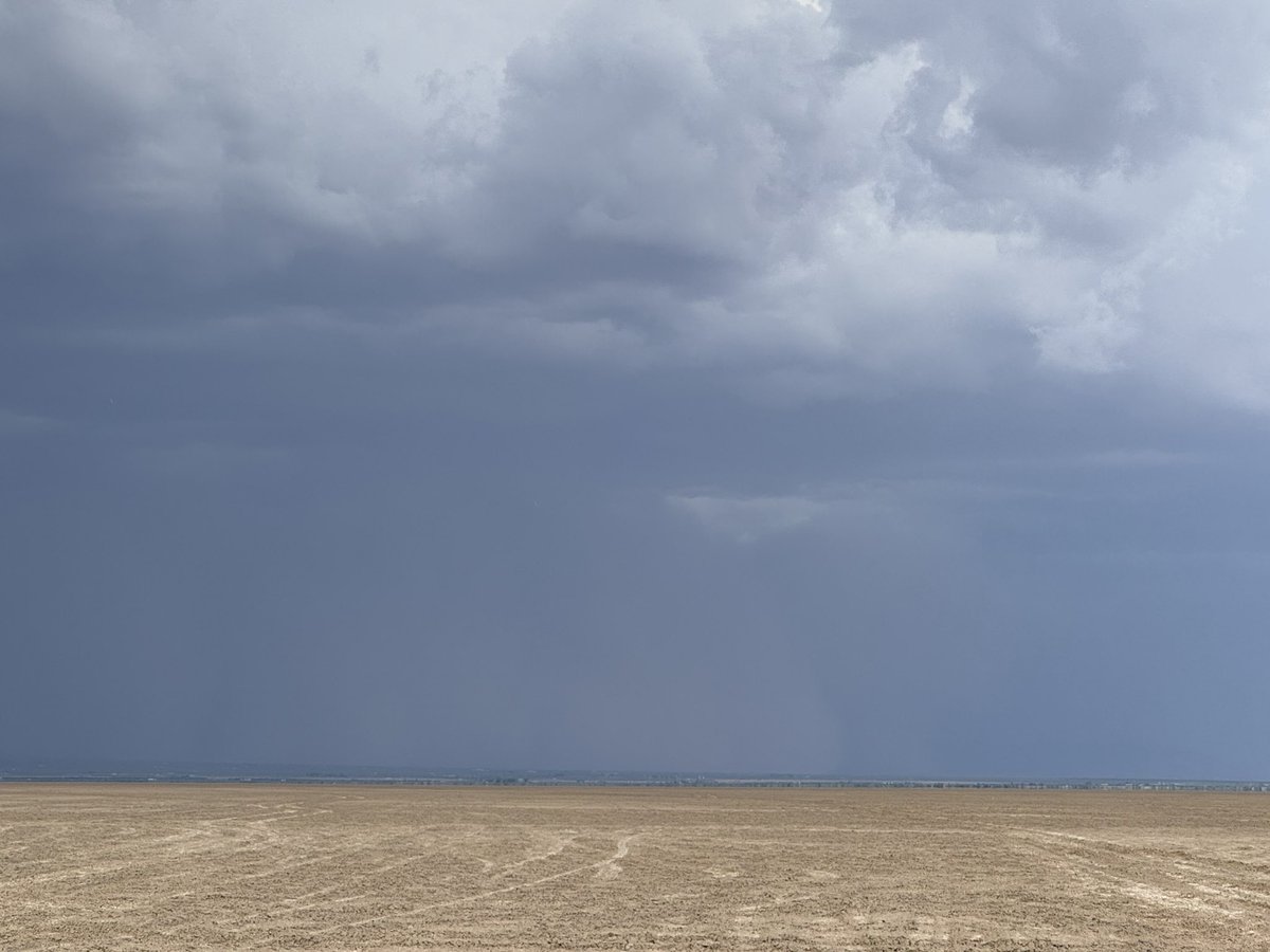 MikeOlbinski's tweet image. Decent haboob rolling over the Chiris moving to the southwest. #azwx
