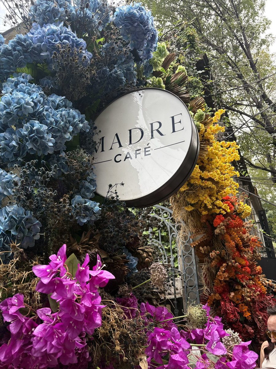 Pekicientha's tweet photo. Una escapadita a #CDMX y se te reinicia la vida ✨❤️ https://t.co/bRKnFFDmUO