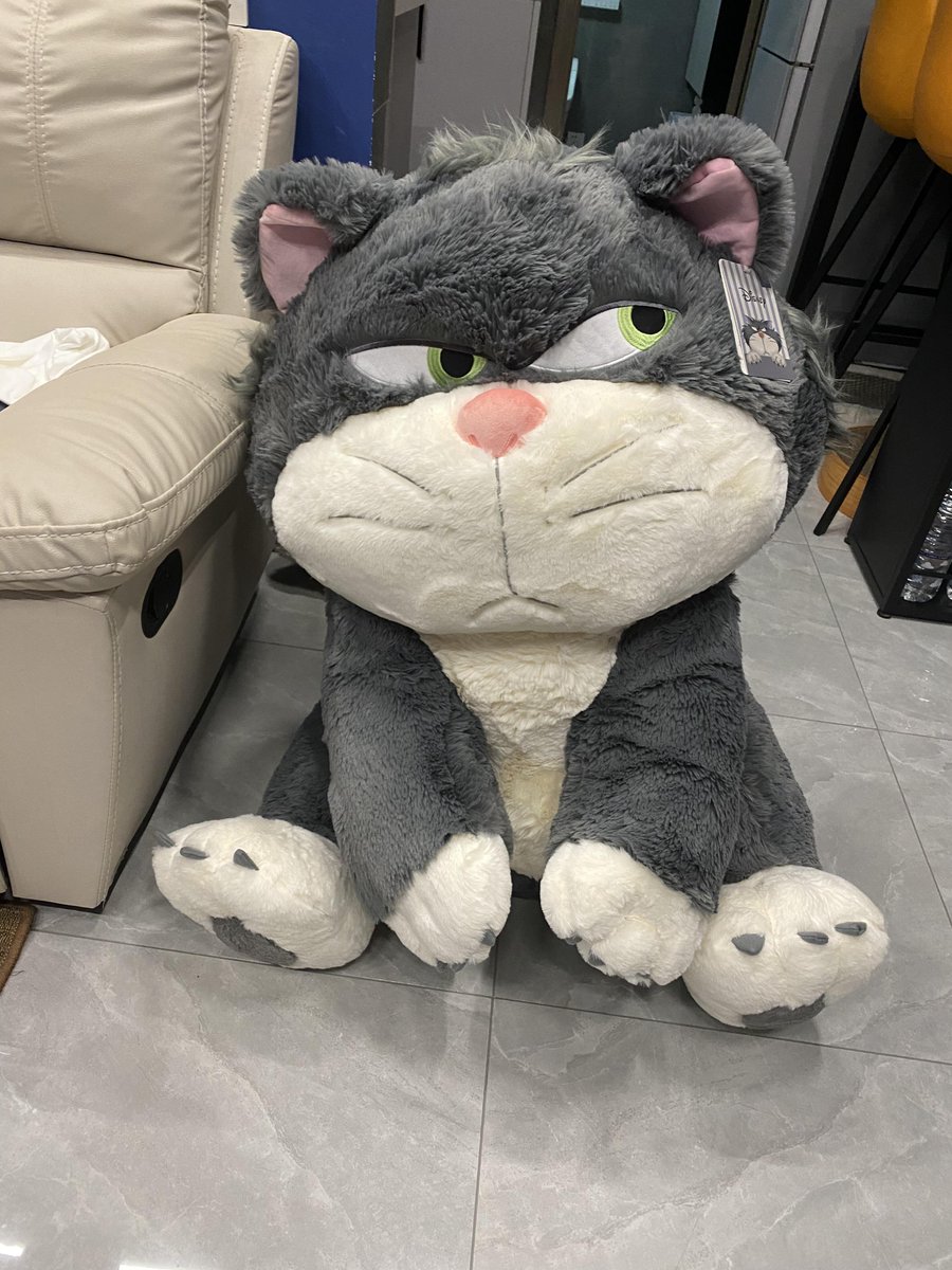 最近、面白いコレクションを手に入れました！最近は気温がかなり下がったので、それを抱いて寝るととても快適だと思います