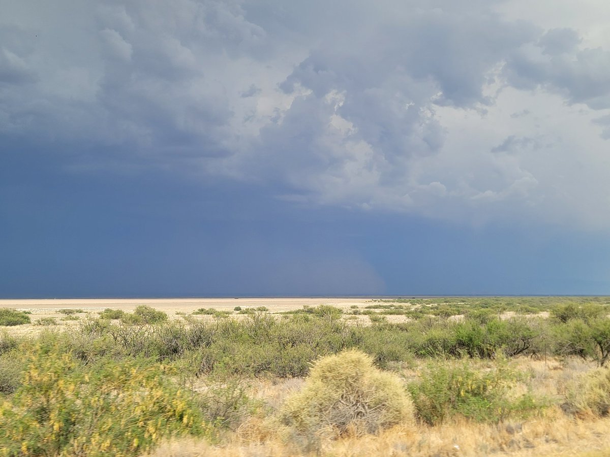 Wall ot rust is developing south of Willcox. #azwx