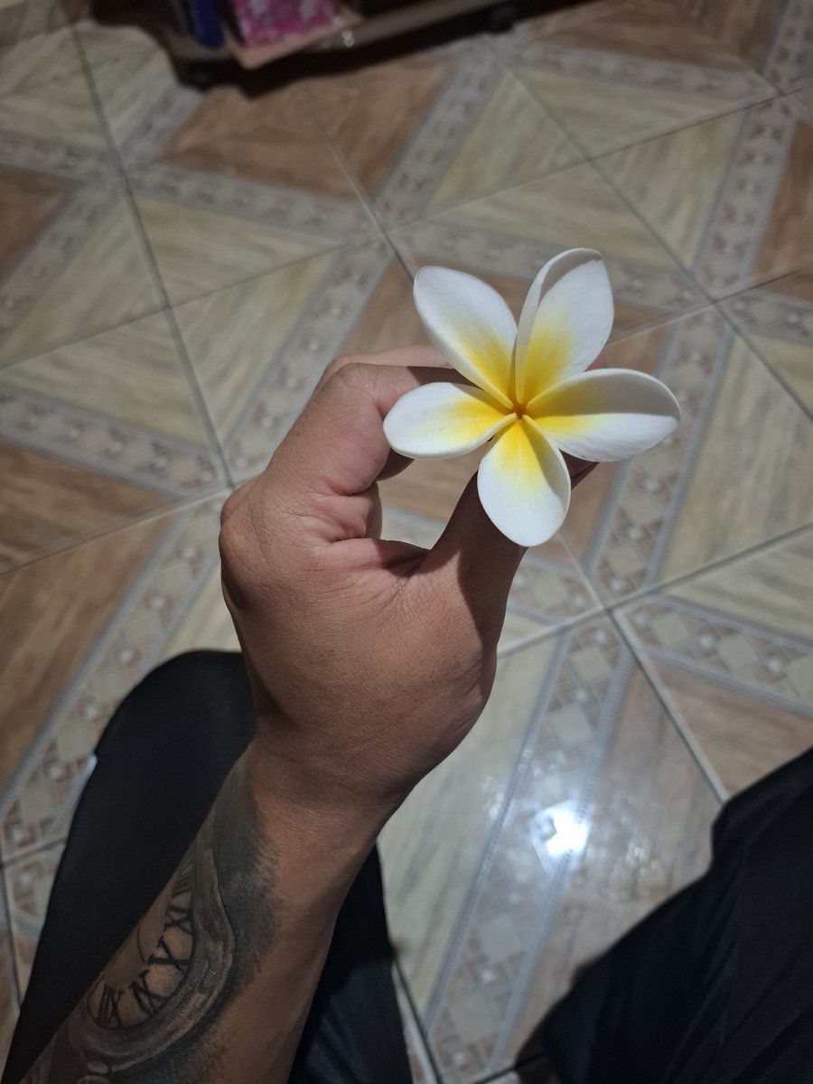 🌼👸🏽🍀