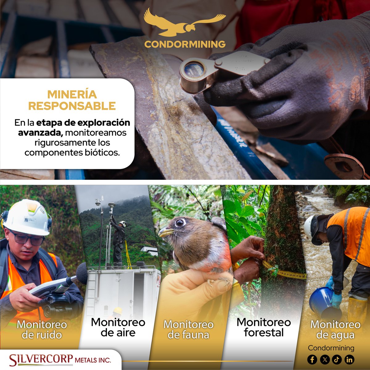 En #CONDORMINING, la responsabilidad ambiental comienza en la etapa de exploración.
Monitoreamos rigurosamente cada componente biótico para proteger el entorno

🌿Ruido |💨Aire | 🦎Fauna | 🌳Bosque |💧Agua
#MineríaResponsable #ExploraciónAvanzada #ConstruyendoOportunidades