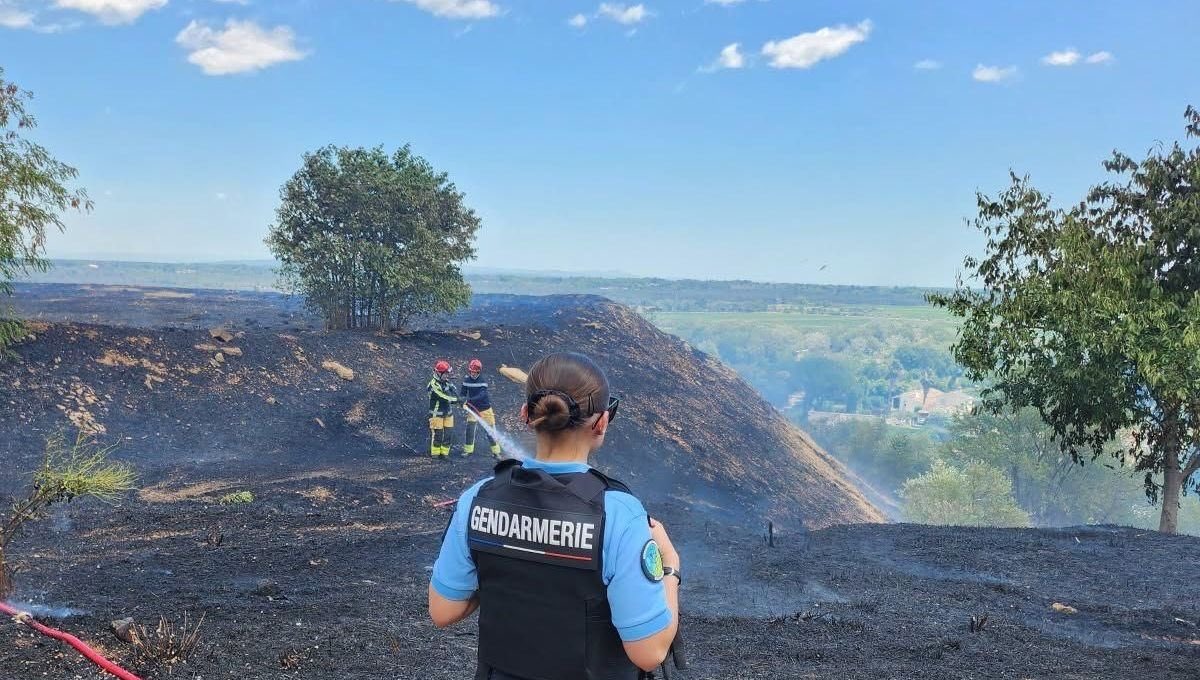 🚨🇫🇷 𝗔𝗟𝗘𝗥𝗧𝗘 𝗜𝗡𝗙𝗢 — Un Marocain de 51 ans, ayant INCENDIÉ 4 HECTARES de forêt à Saint-Gilles, très connu de la justice et fiché pour APOLOGIE DU TERRORISME, a été condamné à du SURSIS.

L’individu, décrit comme "dangereux", avait déjà été condamné pour exhibition