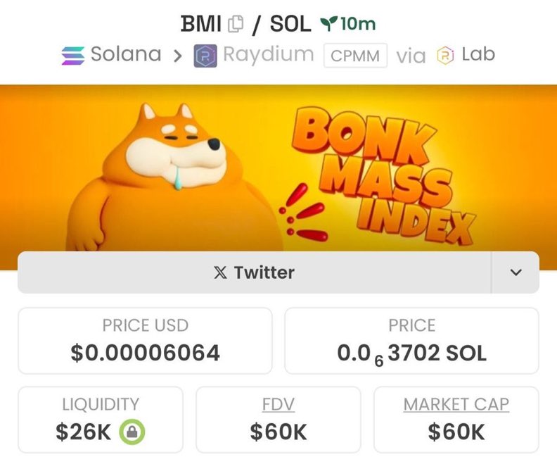 Zycroncalls's tweet image. I called $BMI at an $60k market cap in my private Telegram group.

⛓️Chain #Solana