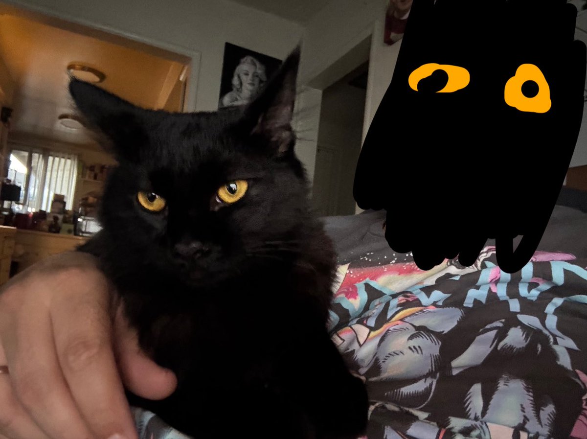 Johnny Switchblade tweet media