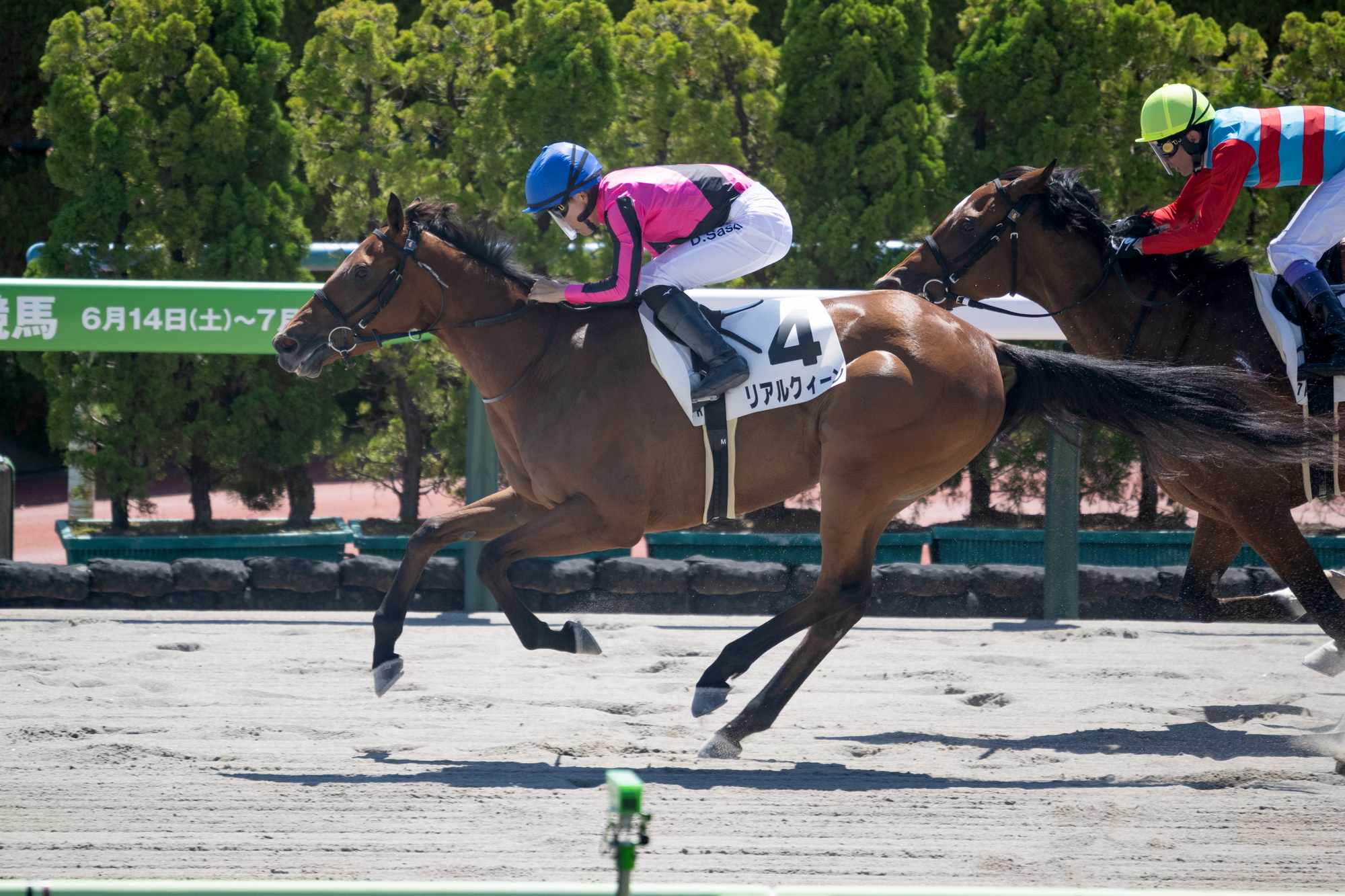 【中古】 競馬探偵Ｘの金持ちになれるレース予想 ２００４年オークス・ダービー～９月全重賞３４レース/メタモル出版/競馬探偵Ｘ 競馬探偵Xの金持ちになれるレース予想 2004年オークス・ダービー