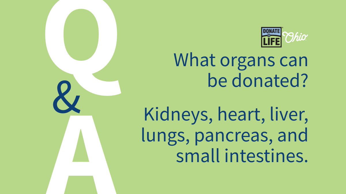 Many different types of organs and tissues can be donated. Learn more facts about donation 👉 bit.ly/4ewfqpx