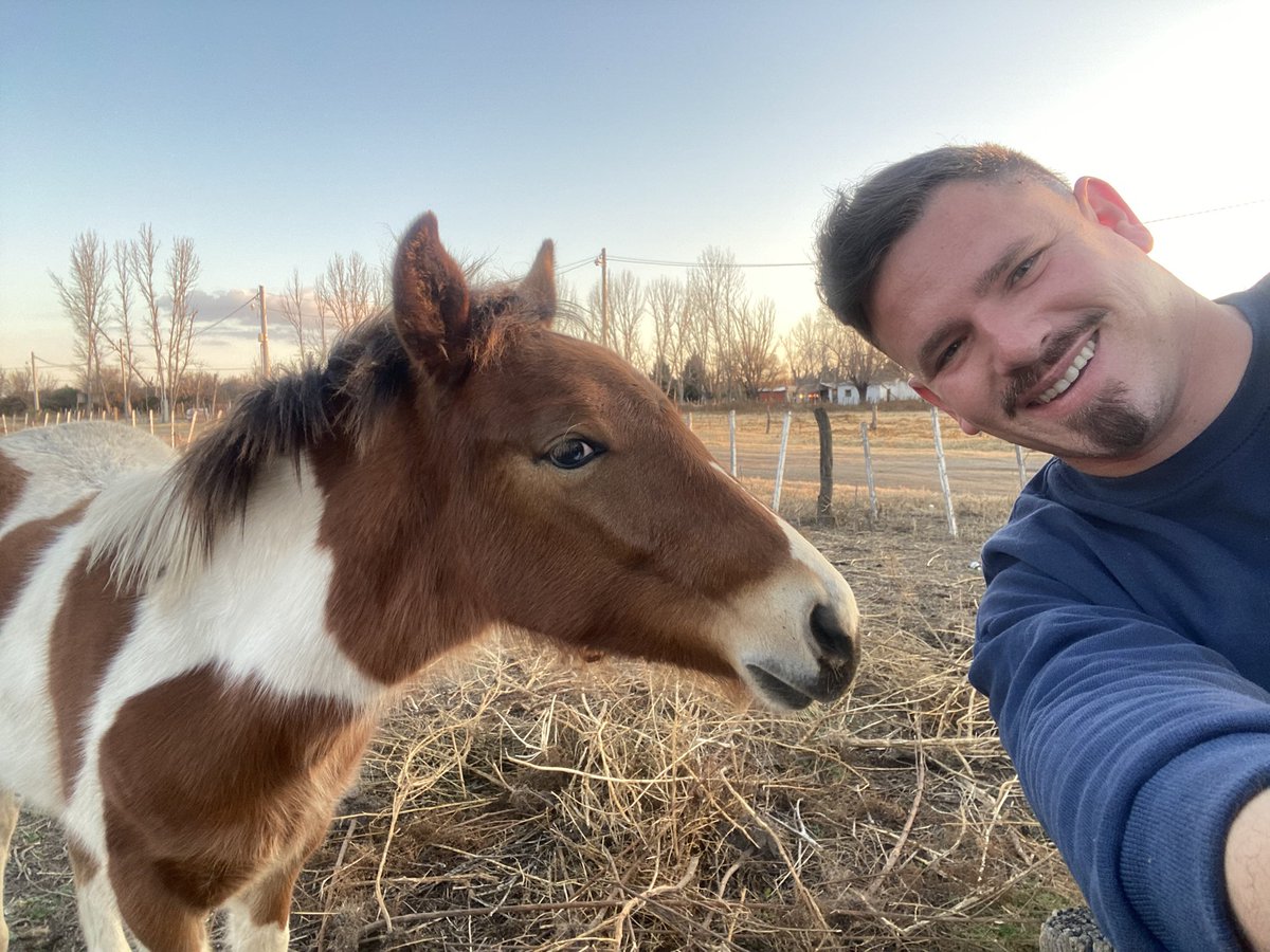 Fran Vidal Sierra tweet media