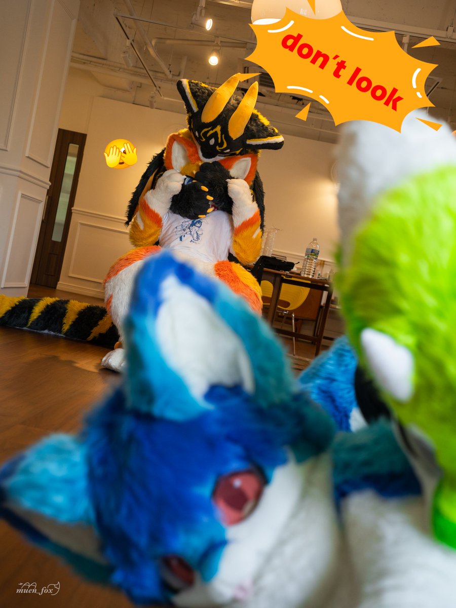 #FursuitEveryday 
#트링방방
뭔데뭔데!! 왜 보면 안된다는거야???