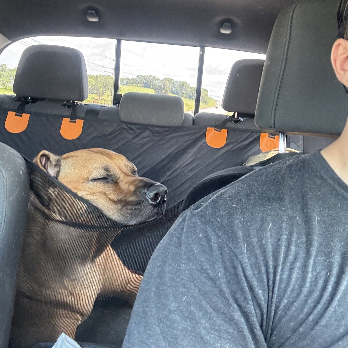 🆑♿️🅱️🅱️ (@skwatuniversity) on Twitter photo 