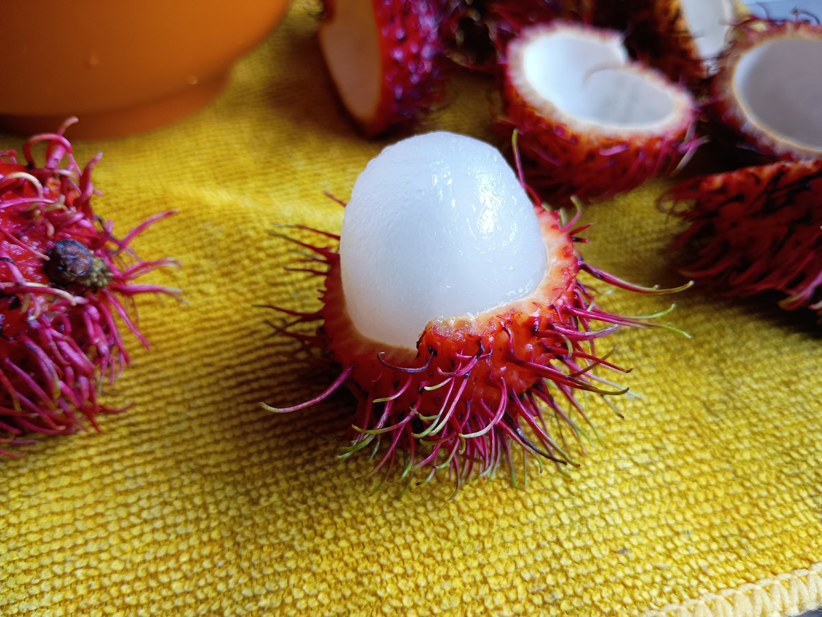 marioalexer's tweet photo. Encontré rambután en el mercado y fue como salir de las páginas de La chica mecánica. En Tailandia la llaman ngaw. En el libro, es obsesión, recuerdo, esperanza. https://t.co/khz553hZRv