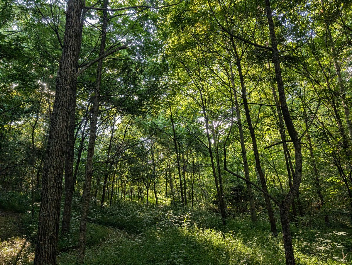 Tom Ruby tweet media