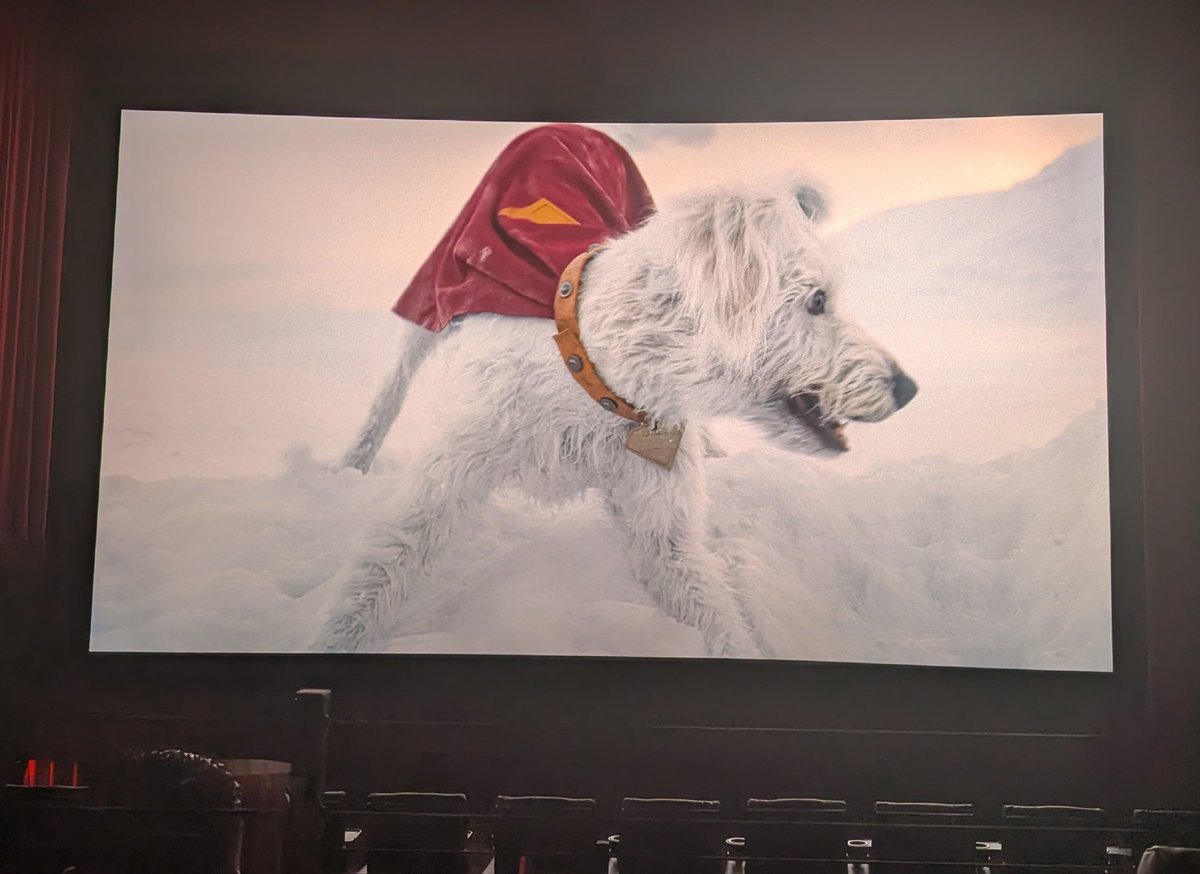 divyasheess's tweet image. The best part of the Superman movie? Krypto 😍 #mvp