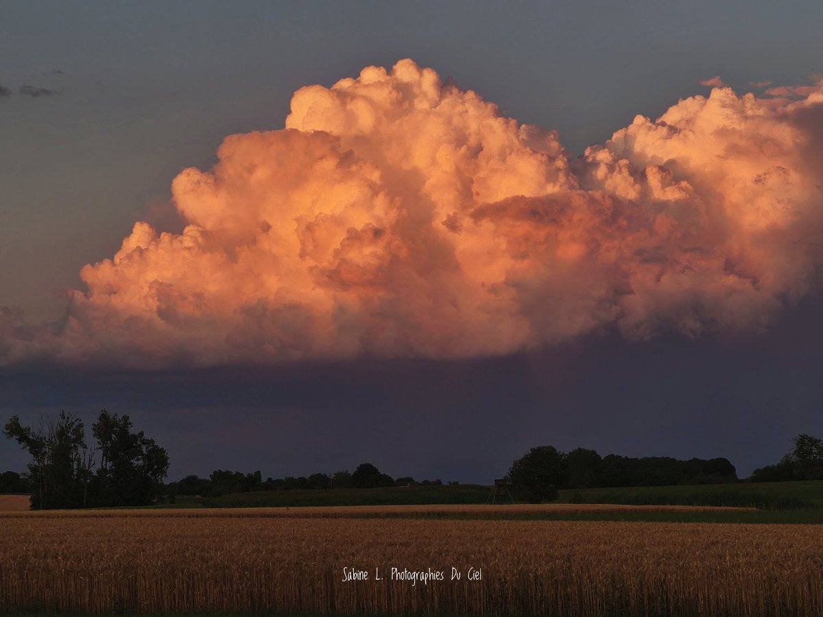 SabineL67's tweet photo. Averse isolée au soleil couchant en direction de Strasbourg !! Bien joufflu ... 
📷#Birkenwald #Sommerau (67) 
13/07/2025

#Alsace #BasRhin #Météo #Météo67 #Averse https://t.co/zKkNYcyWX8