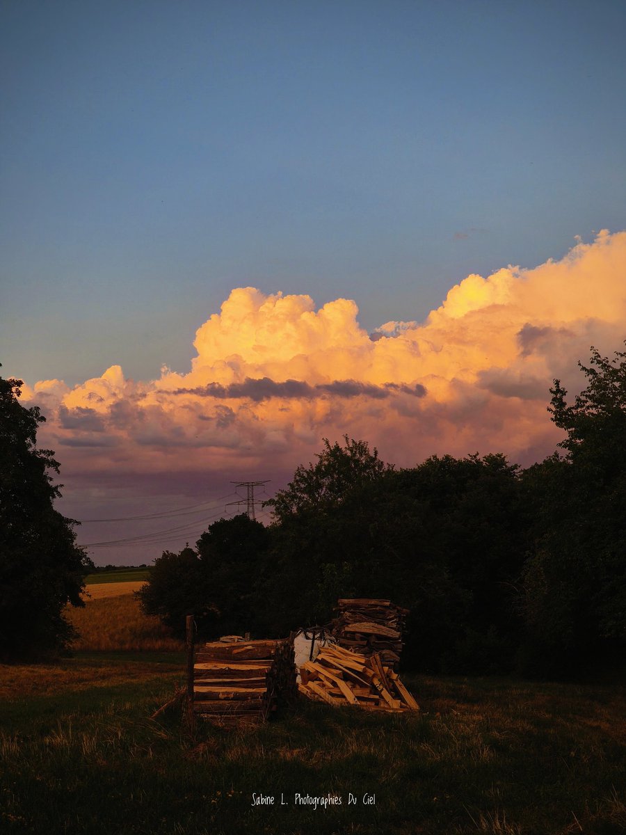 SabineL67's tweet photo. Averse isolée au soleil couchant en direction de Strasbourg !! Bien joufflu ... 
📷#Birkenwald #Sommerau (67) 
13/07/2025

#Alsace #BasRhin #Météo #Météo67 #Averse https://t.co/zKkNYcyWX8
