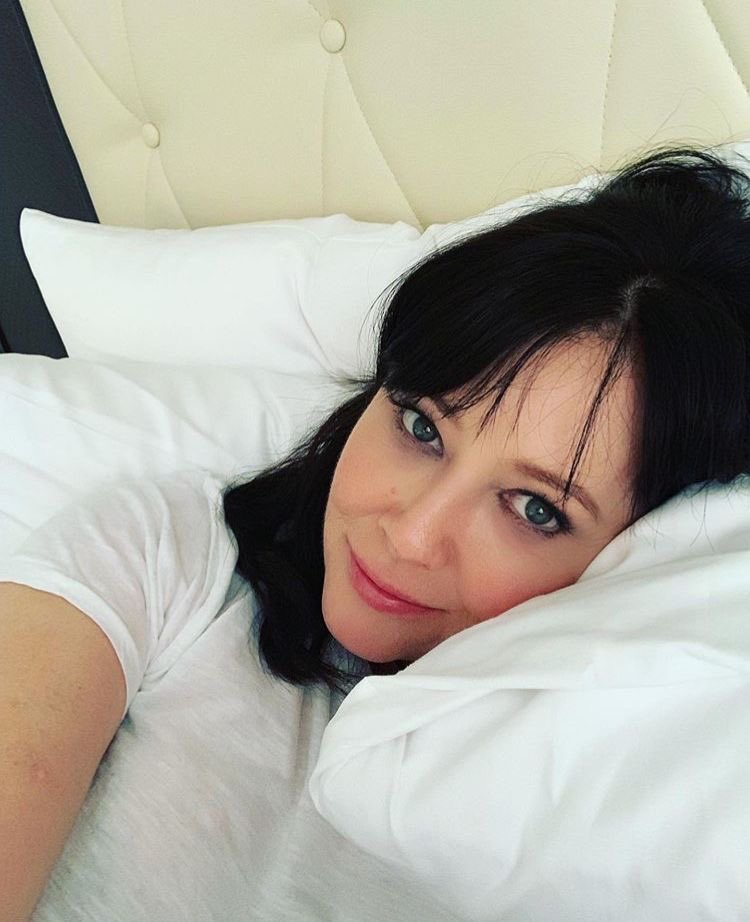 charmedream tweet media