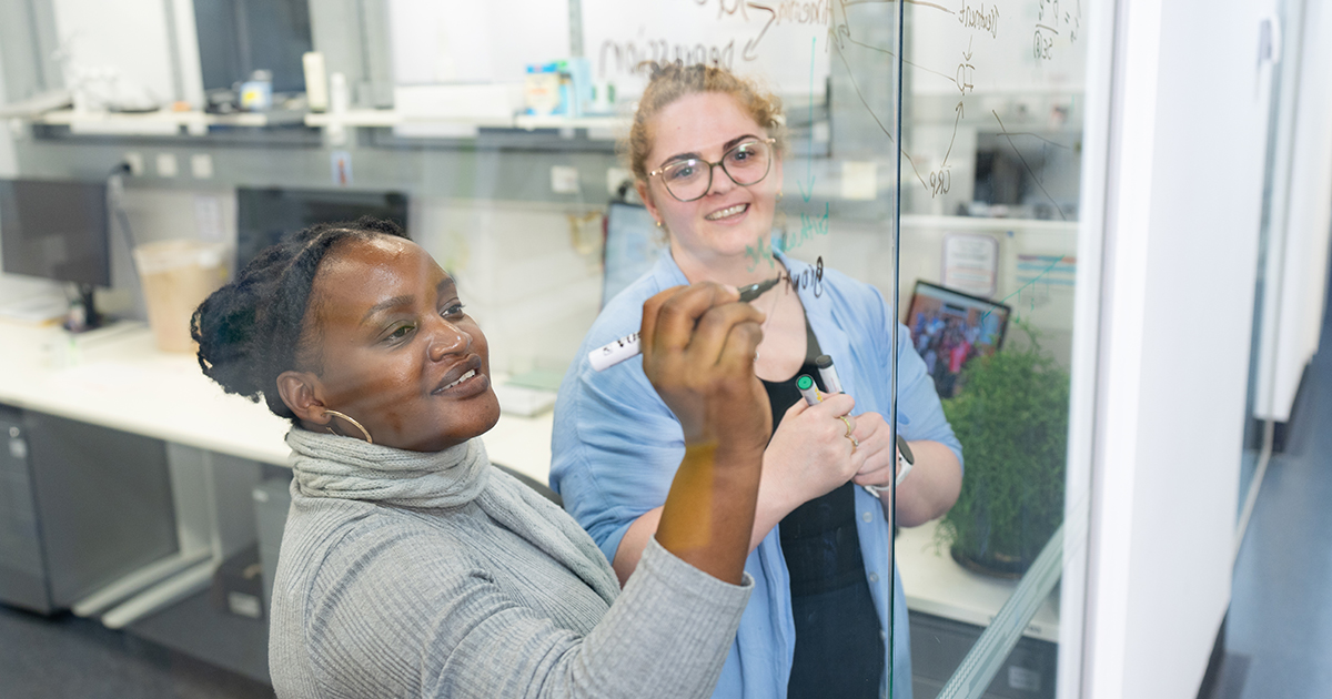 WEHI_research's tweet image. 🧬50 years of impact 🌍
From #malaria breakthroughs to global collaborations, our researchers have transformed the field of #parasitology – and they’re not done yet.
Find out more: wehi.edu.au/news/from-a-sp…