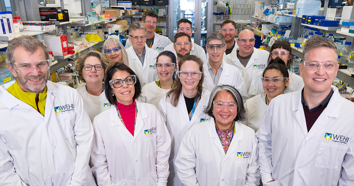 WEHI_research's tweet image. 🧬50 years of impact 🌍
From #malaria breakthroughs to global collaborations, our researchers have transformed the field of #parasitology – and they’re not done yet.
Find out more: wehi.edu.au/news/from-a-sp…