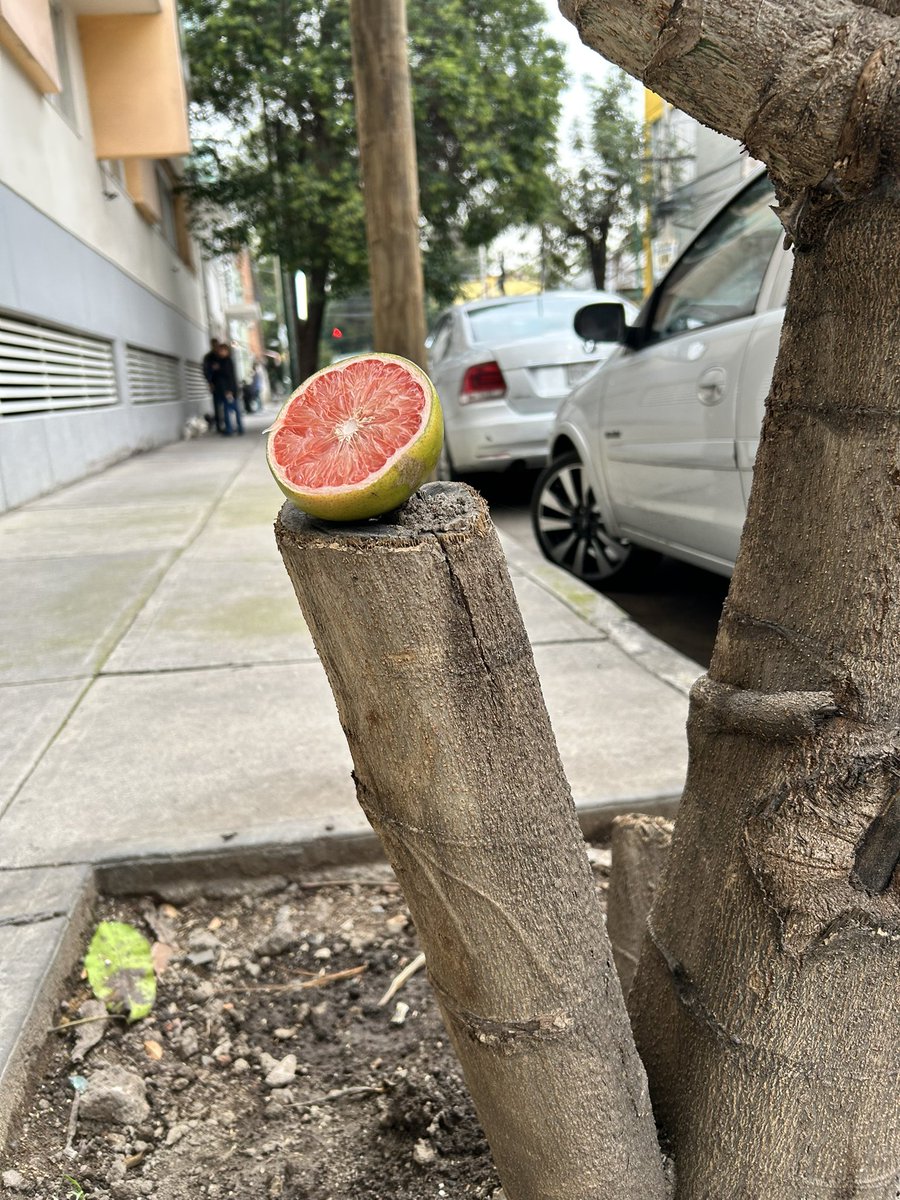 ReynisRosas's tweet photo. Objetos perdidos 
Objetos olvidados https://t.co/dNLRkQtMtv