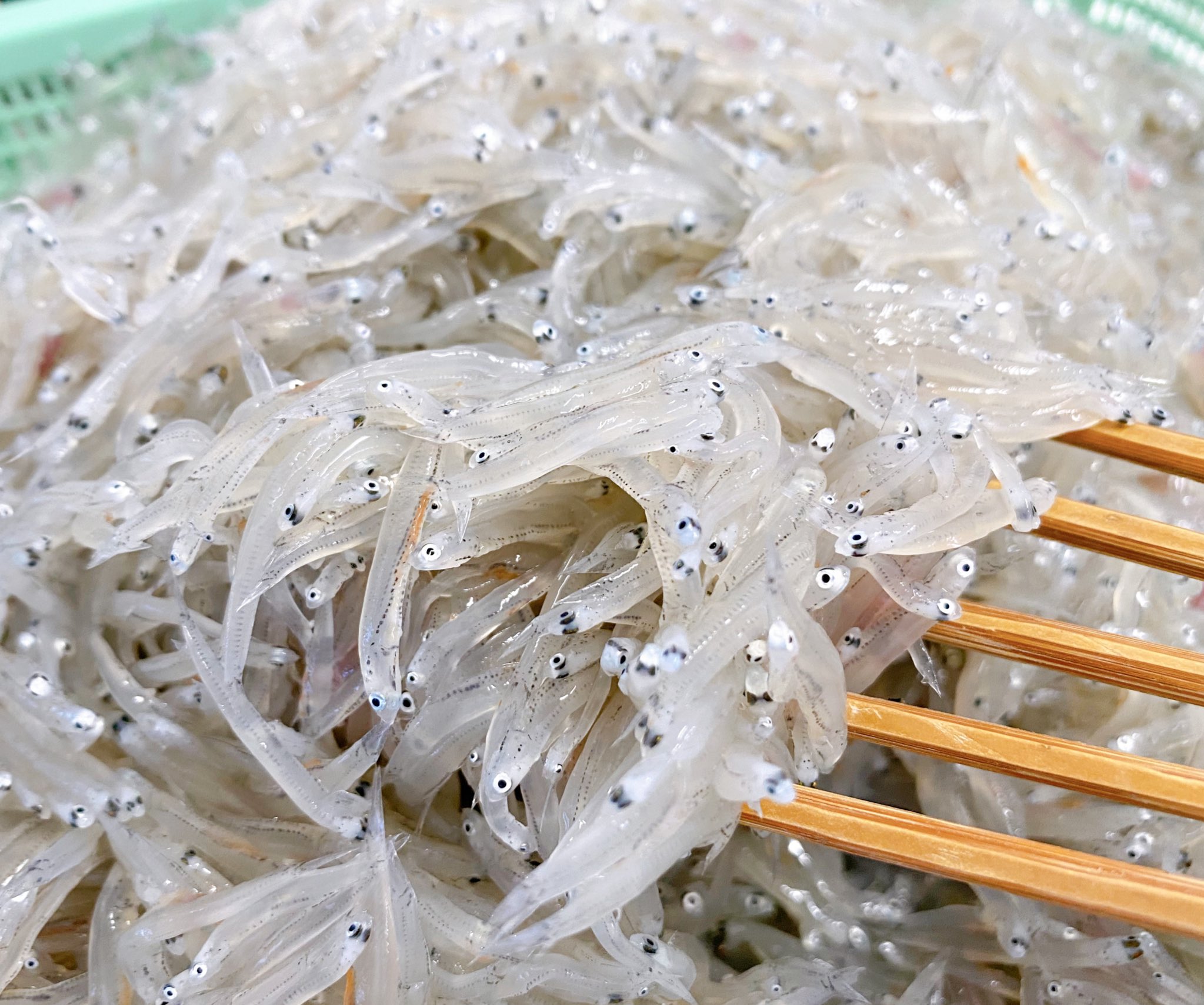 しらす•*¨*•.¸♬︎ 瑞穂丸・瑞穂水産直売所 on X: 