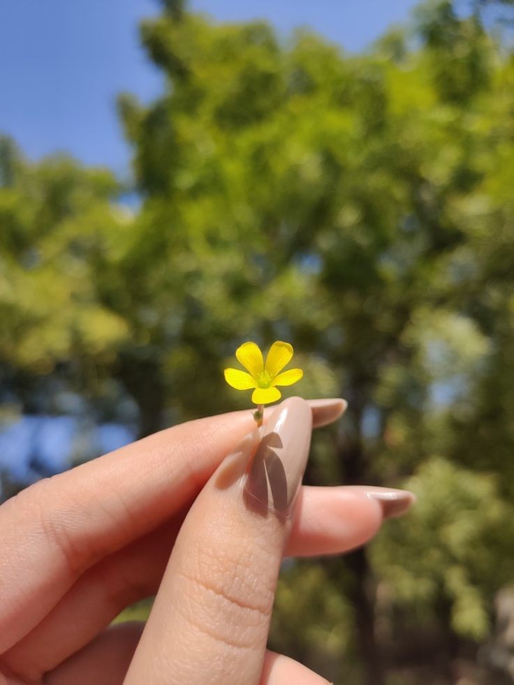 '

على الانسَان إن يؤمن، أن الحياة تُشرق من داخله أولا.🌞🌻

#صباح_الأشياء_المُشرقة
#صباح_الخير
~•