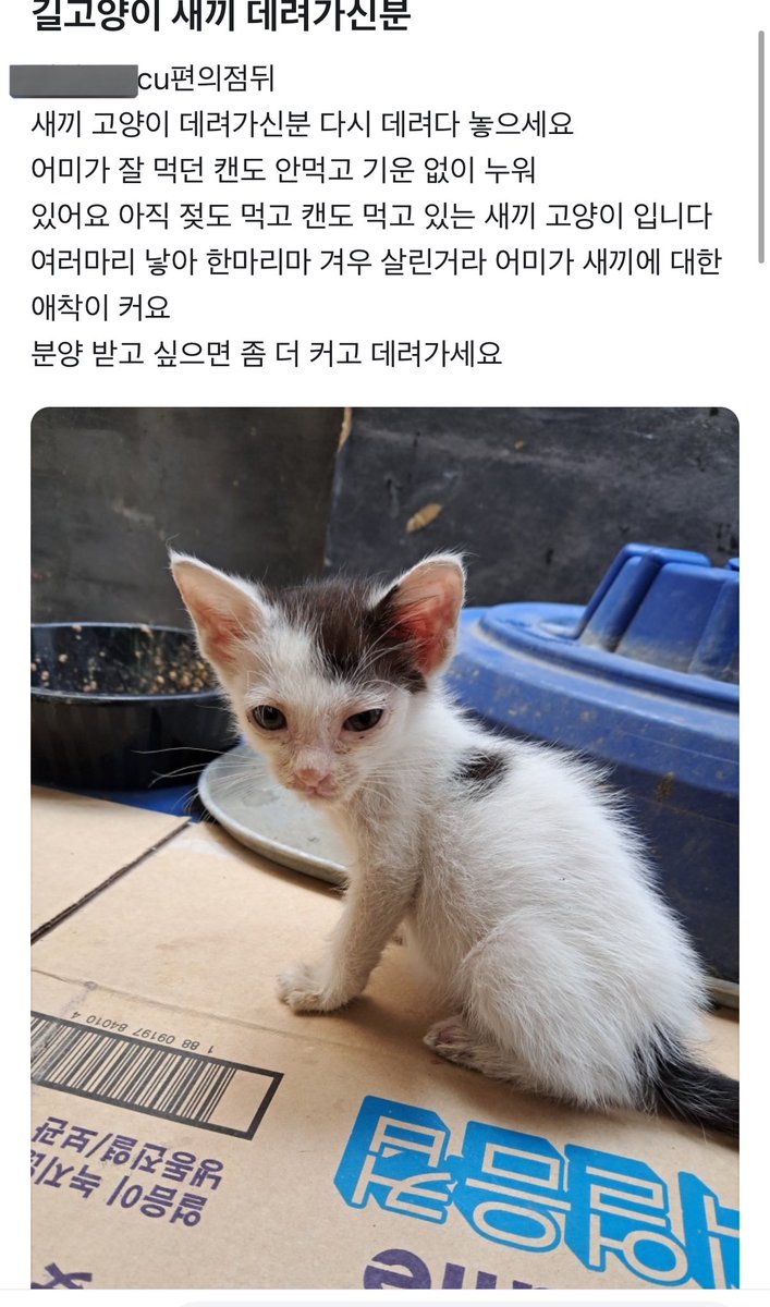동네 당근 글...
제발 어미있는 아기고양이 데려가지 마세요... 어미가 지금 밥도 안먹고 누워만 있는다고 함..
아기고양이 상태가 심각한 거 아니면 보통은 어미가 있으니까 구조가 필요해보여도 지켜보고 응급상황일 경우에만 구조해주세요 ㅜㅜ 
제발 ㅠㅠ