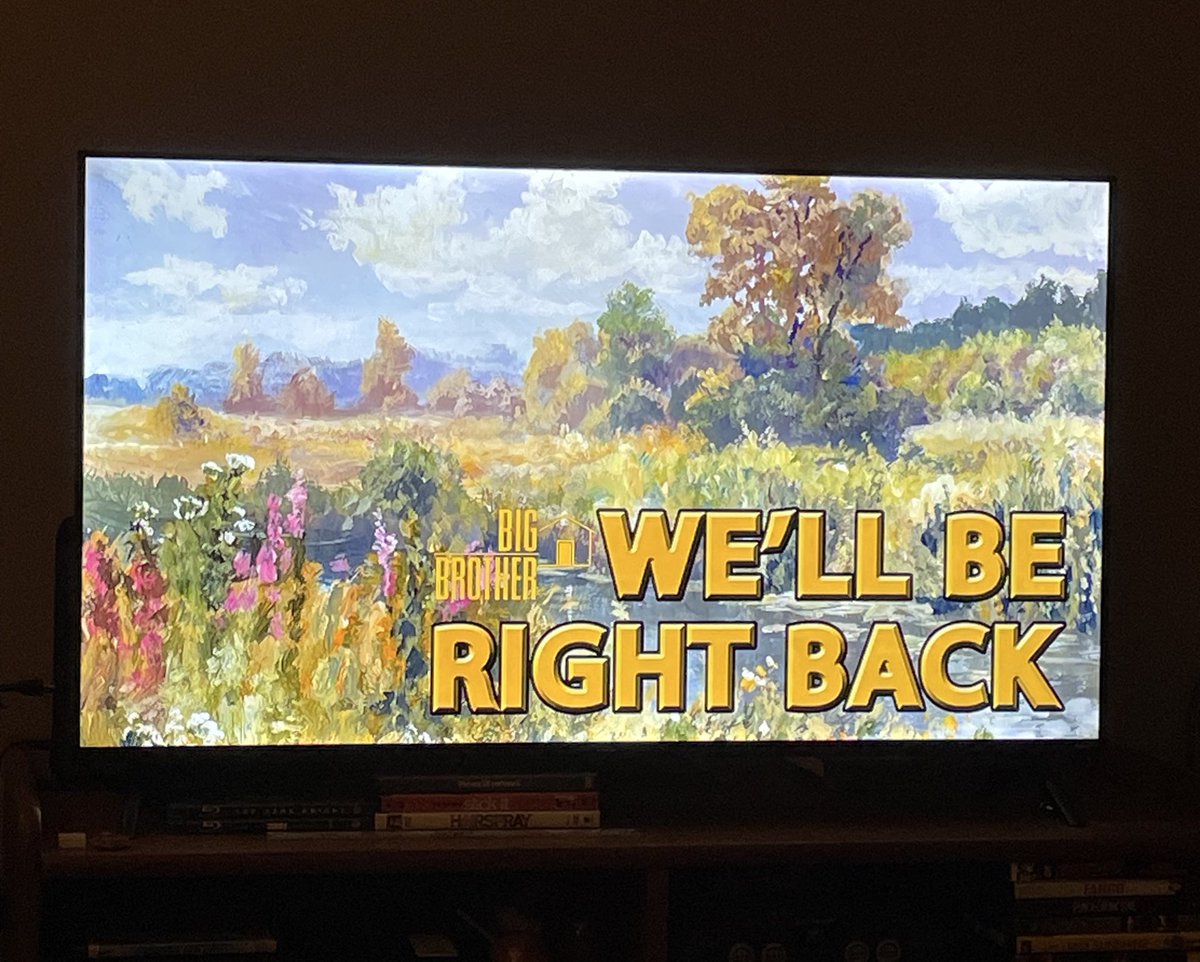 I AM PRO WHATEVER THIS IS this is the best loading screen the feeds have ever had idc #BB27