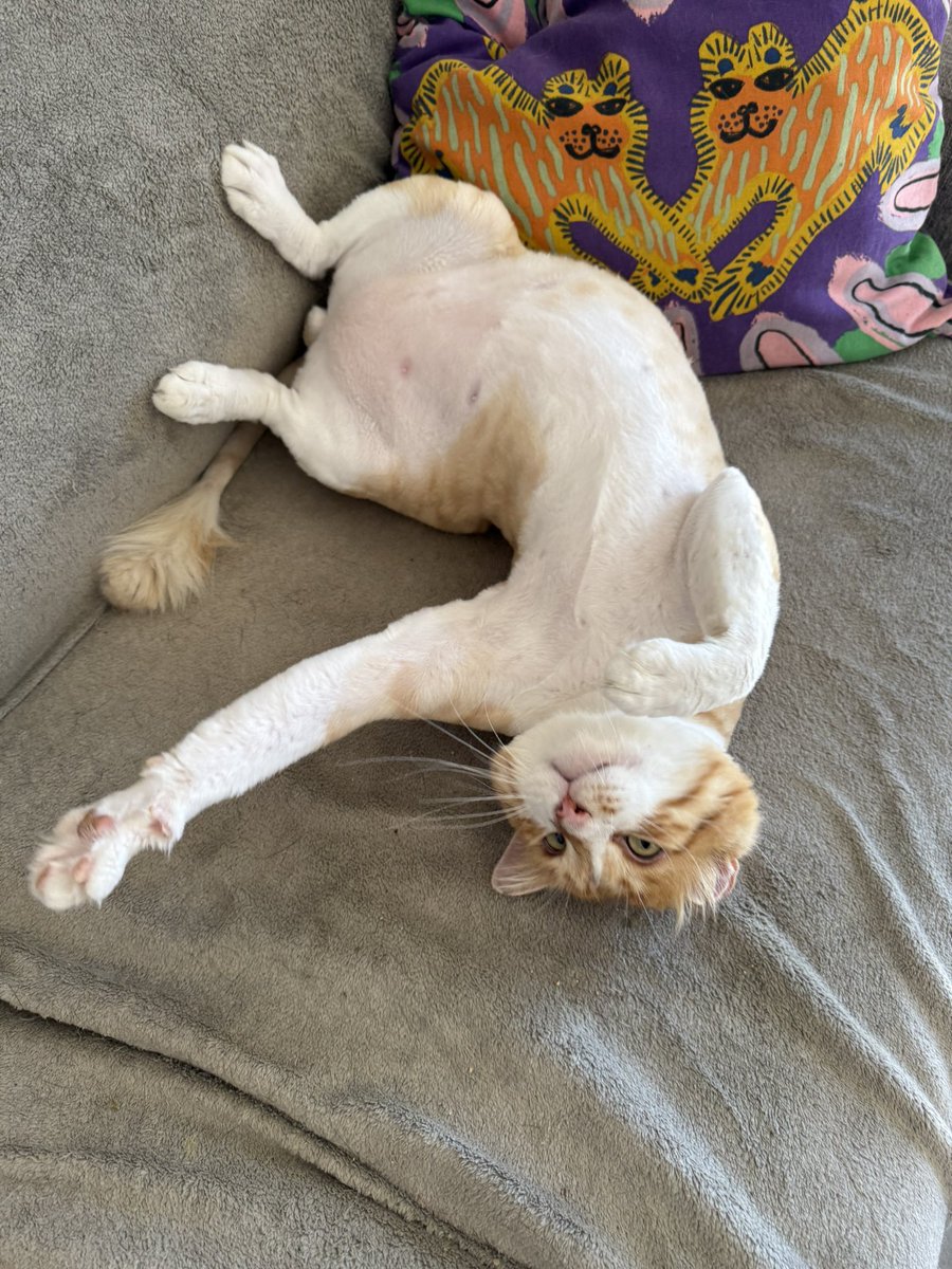 Angry Anna❤️‍🔥 tweet media