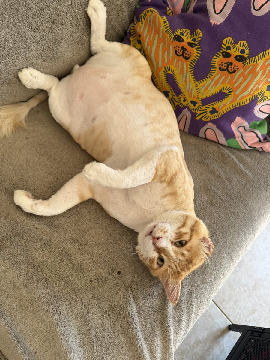 Angry Anna❤️‍🔥 tweet media